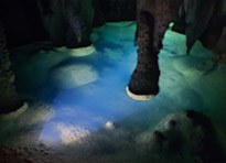 One Day High-Value Tour Klang Cave and James Bond Island