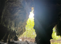 2 Days 1 Night Similan + Discovery Overnight Khaolak