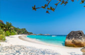 2 Days 1 Night Similan + Discovery Overnight Khaolak