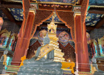 2 Days 1 Night Similan + Discovery Overnight Khaolak