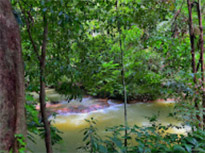 2 Days 1 Night Similan + Discovery Overnight Khaolak