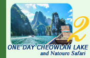 One Day CheowLan Lake and Natoure Safari