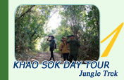 Khao Sok Day Tour Jungle Trek