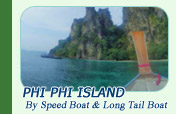 Phi Phi Island By Speed Boat and Long Tail Boat