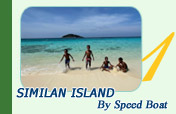 A day tour Similan Island By Speed Boat