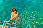 Phuket Package + Phi Phi Islands 3 Days 2 Nights