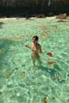 Phuket Package + Phi Phi Islands 3 Days 2 Nights