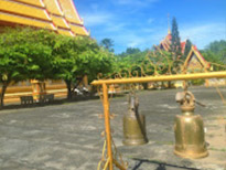 Phuket Package + Phi Phi Islands 3 Days 2 Nights