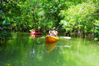 Phuket Package + Phi Phi Islands 3 Days 2 Nights