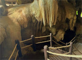 Phuket Package + Phi Phi Islands 3 Days 2 Nights