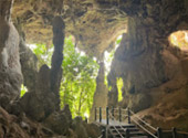 Phuket Package + Phi Phi Islands 3 Days 2 Nights
