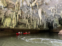 Phuket Package + Phi Phi Islands 3 Days 2 Nights