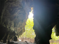 Phuket Package + Phi Phi Islands 3 Days 2 Nights