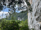 Phuket Package + Phi Phi Islands 3 Days 2 Nights