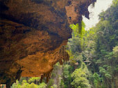 Phuket Package + Phi Phi Islands 3 Days 2 Nights