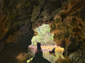 Phuket Package + Phi Phi Islands 3 Days 2 Nights