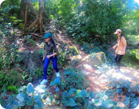 Two Days Overnight in Jungle Two Days Overnight in Jungle