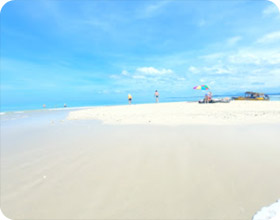 2 Days Overnight Khaolak, Similan and Pha Island 2 Days Overnight Khaolak, Similan and Pha Island