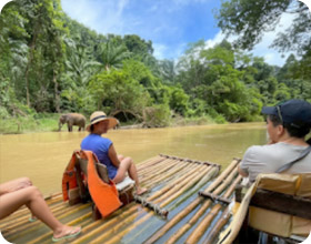 Khao Sok Day Tour Jungle Trek Khao Sok Day Tour Jungle Trek