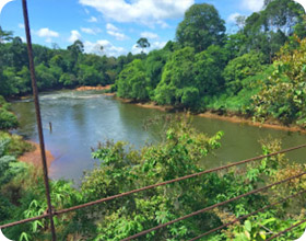 Two Days Khaosok and Lake Tour Two Days Khaosok and Lake Tour