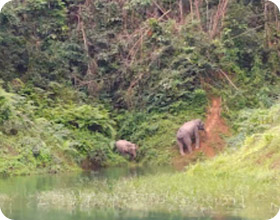 Similan Islands and Dam 2 Days 1 Night Similan Islands and Dam 2 Days 1 Night