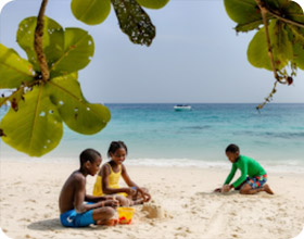 Similan Island - Evening back day trip Similan Island - Evening back day trip