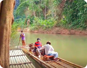 Similan with Khao Sok Jungle 2 Days 1 Night Similan with Khao Sok Jungle 2 Days 1 Night