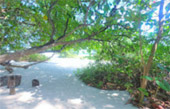 Phi Phi and Bamboo Island by speed boat