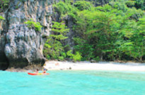 Phi Phi and Bamboo Island by speed boat