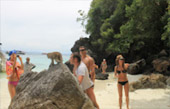 Phi Phi and Bamboo Island by speed boat