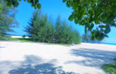 Phi Phi and Bamboo Island by speed boat