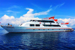 Phi Phi Island by Big Boat more comfortable