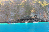 Early Bird Time: Phi Phi Island