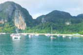Early Bird Time: Phi Phi Island