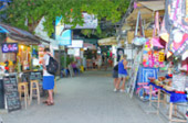 Early Bird Time: Phi Phi Island