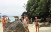 Phi Phi Island By Speed Boat and Long Tail Boat