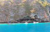 Phi Phi Island By Speed Boat and Long Tail Boat