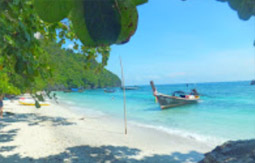 Phi Phi Island By Speed Boat and Long Tail Boat Phi Phi Island By Speed Boat and Long Tail Boat