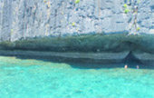 Phi Phi Island By Speed Boat and Long Tail Boat