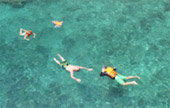 Phi Phi Island By Speed Boat and Long Tail Boat