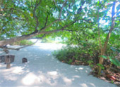 Overnight Holiday Phi Phi Island 2 Day 1 Night