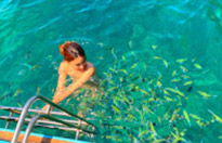 Overnight Holiday Phi Phi Island 2 Day 1 Night