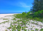 Overnight Holiday Phi Phi Island 2 Day 1 Night
