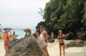 Overnight Holiday Phi Phi Island 2 Day 1 Night
