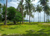 Phi Phi Island Kho Yao 3 Days 2 Night