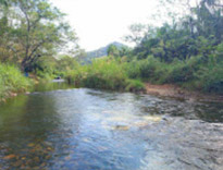 Package Phuket, Racha Island, Bamboo Rafting, ATV Adventure