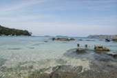 Racha Island and Bon Island One Day