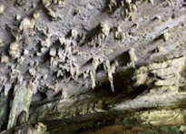 3 Days 2 Nights: Phuket Racha and Kayak