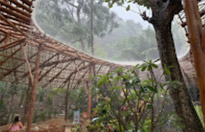 Yachting Day to Racha & Coral Islands