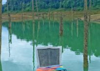 Similan Islands and Dam 2 Days 1 Night